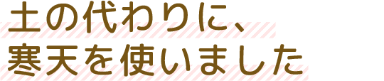 土の代わりに、寒天を使いました